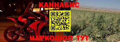 герыч Кингисепп