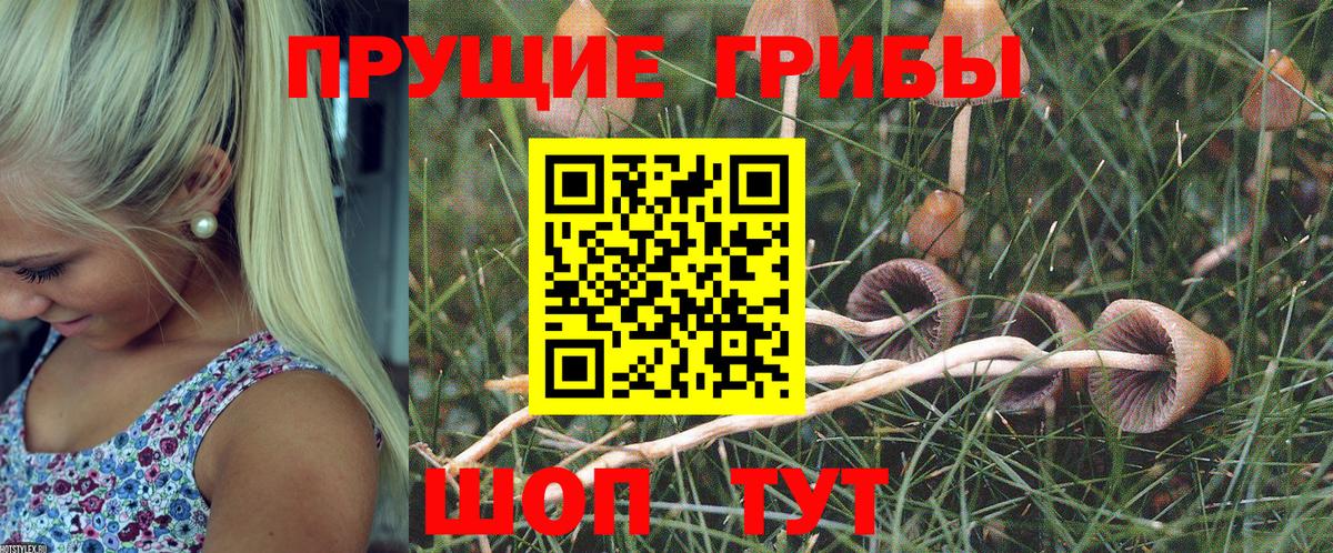 Галлюциногенные грибы MAGIC MUSHROOMS Шарыпово